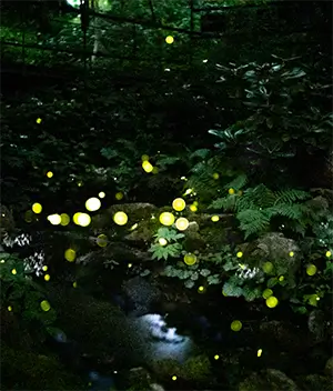 화담숲 테마별 사진