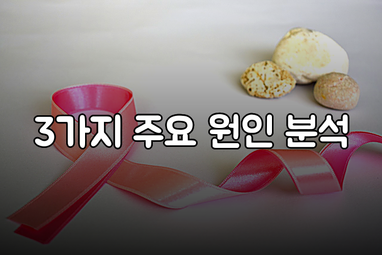 3가지 주요 원인 분석