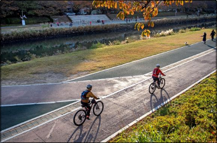 서울-따릉이-부산은뭐지-전국공공자전거지도-교통비-아끼는-꿀팁-안내-생활운동-다이어트