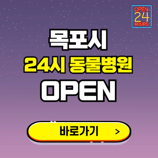 목포시 24시 동물병원 진료하는 곳 ❘ 설날 휴일 야간 심야 문여는곳 찾기 ❘ 응급진료