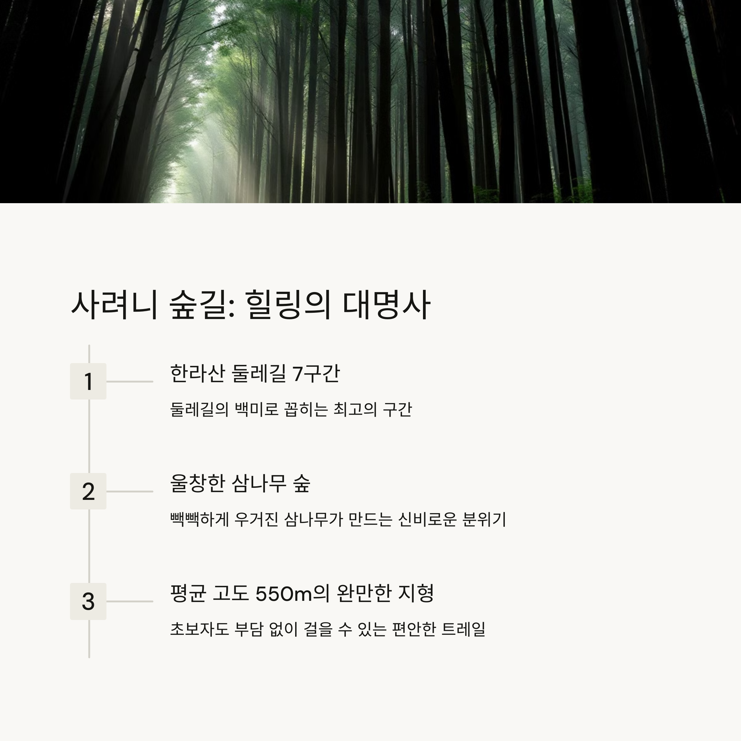 사려니숲길 한라산 둘레길 7구간