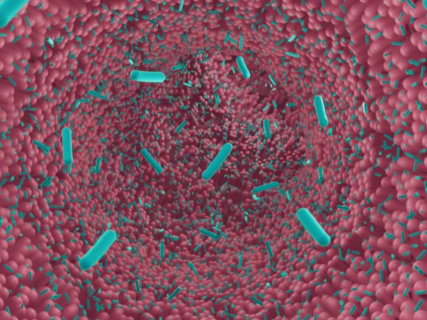 여자 유산균 추천