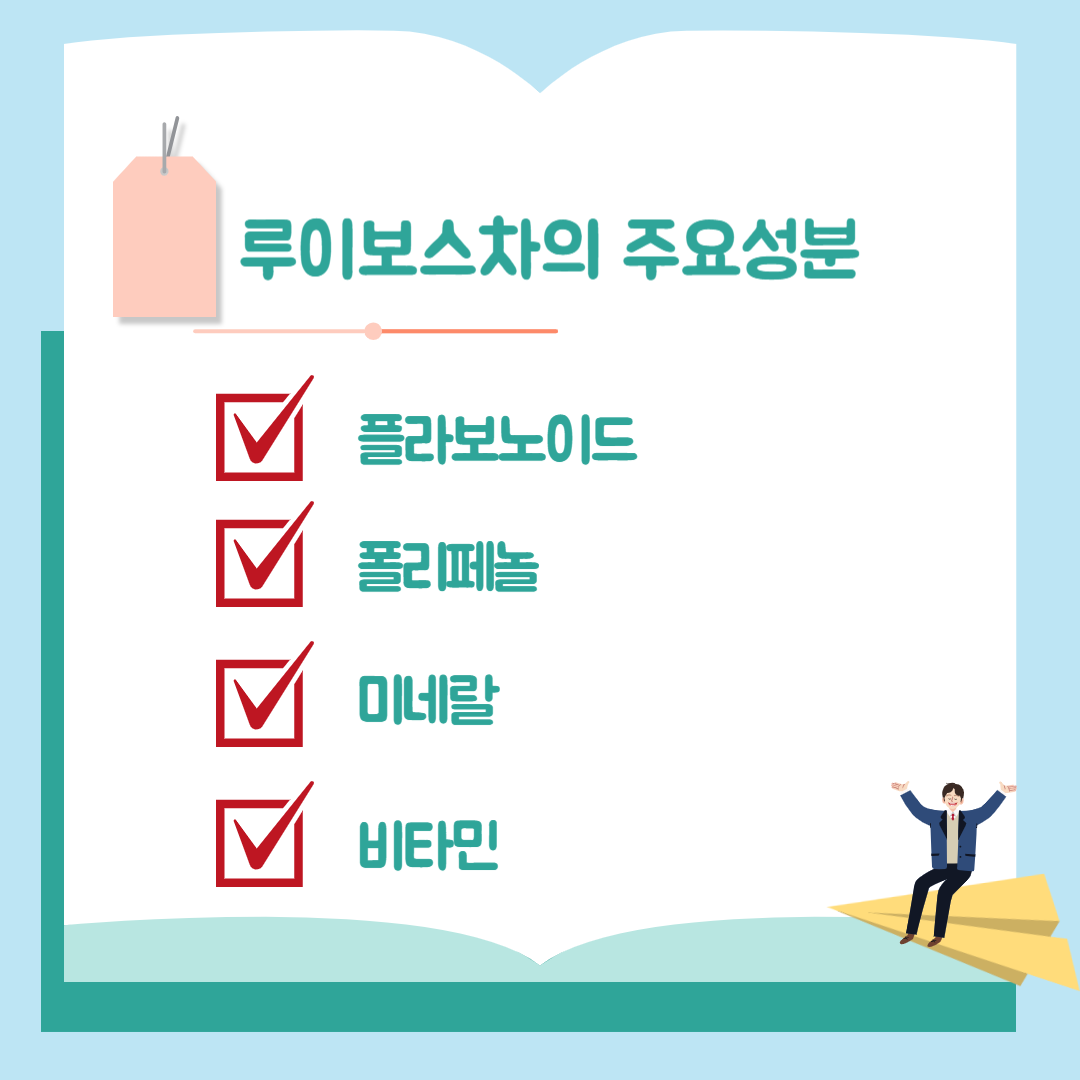 루이보스의 주요 성분에는 어떤 것이 있는지 알아봅니다.