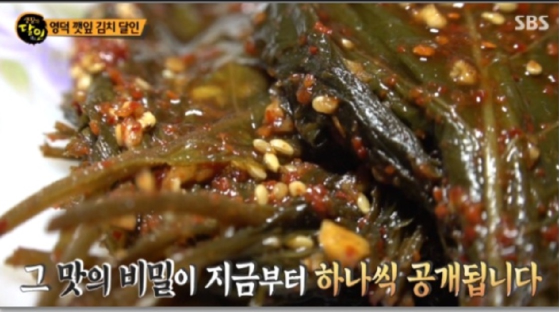 영덕-깻잎-김치-주문-한국기행-천희득-김위자