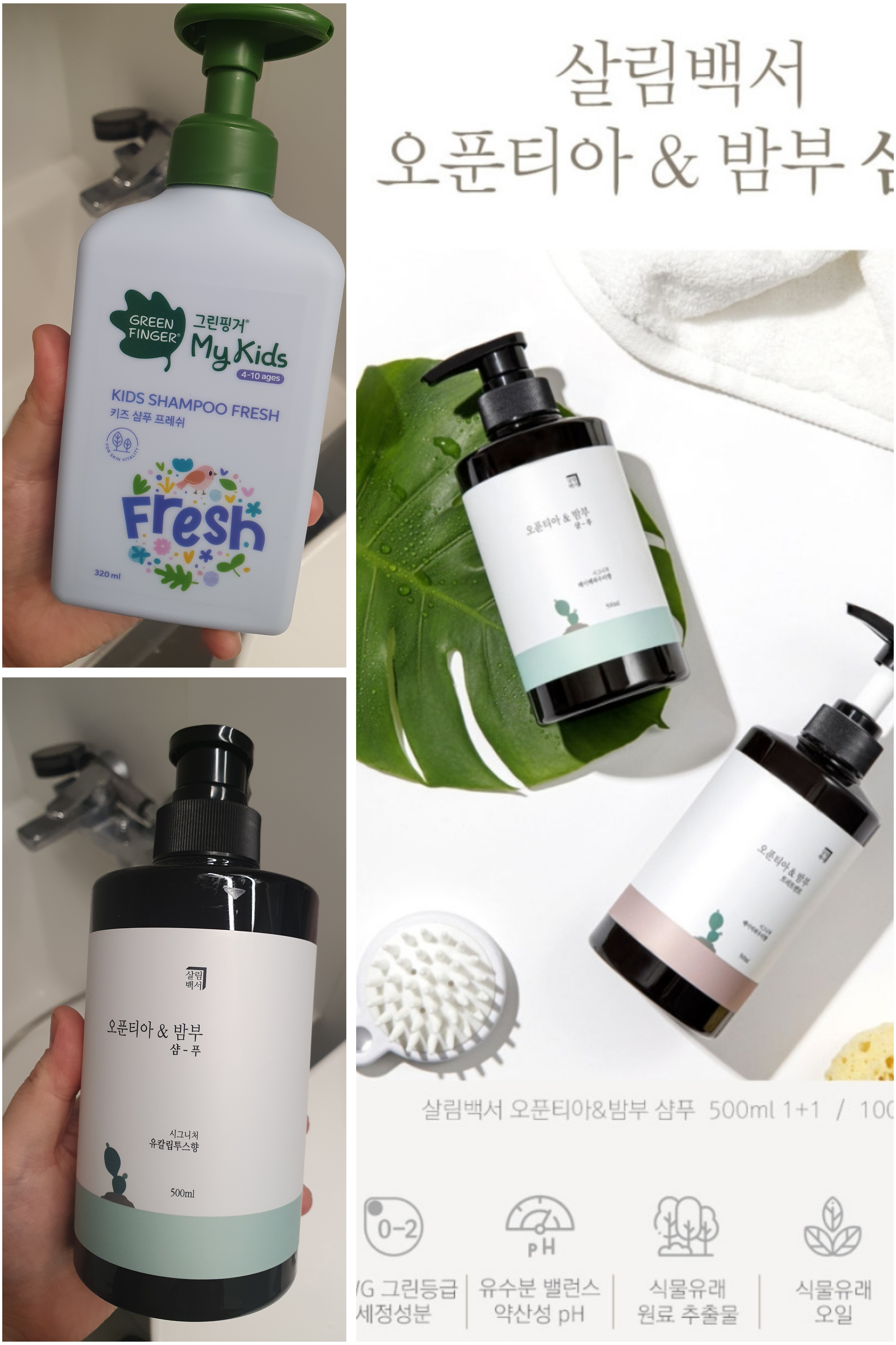 오푼티아 살림백서