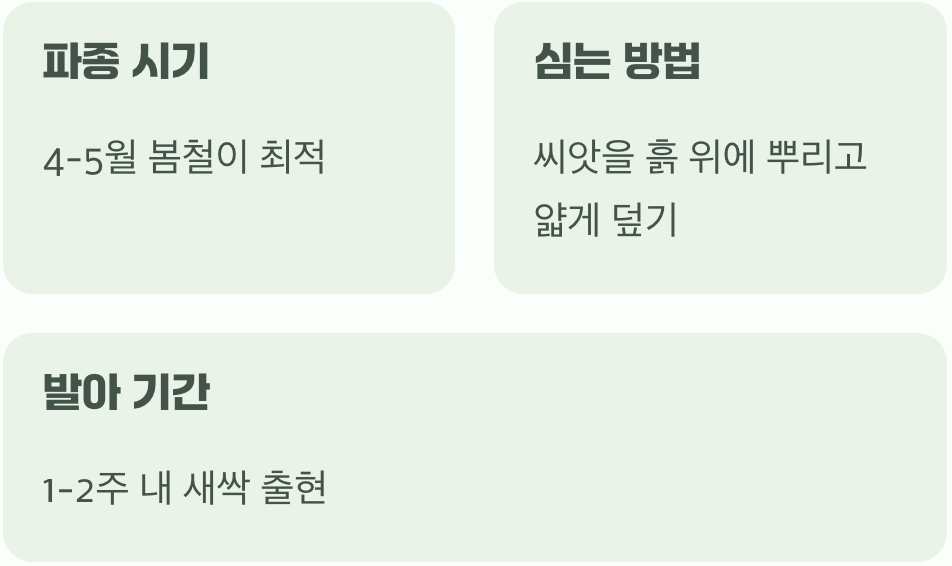 씨앗부터 시작하는 작은 행복