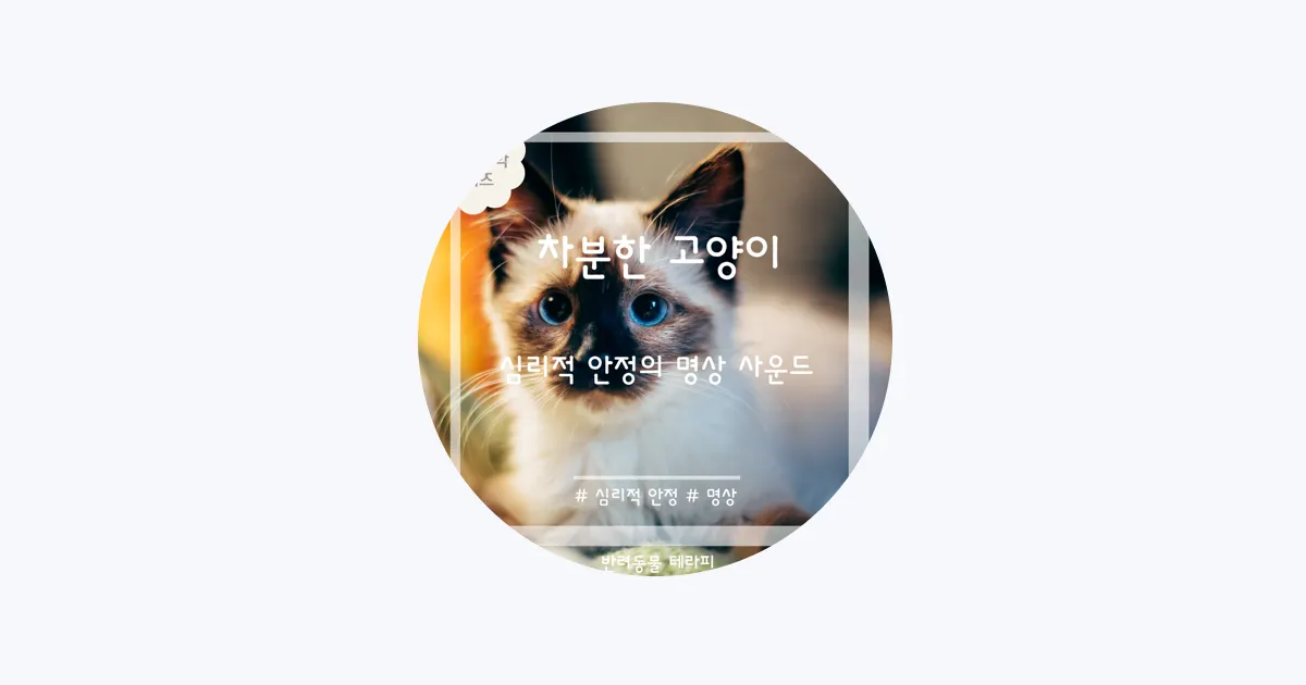 고양이 신경안정 약 영양제 음악_3