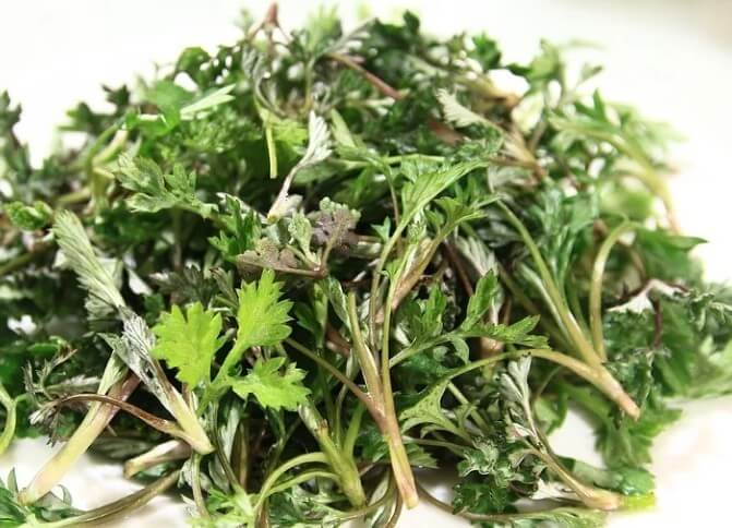 봄 제철 음식 추천