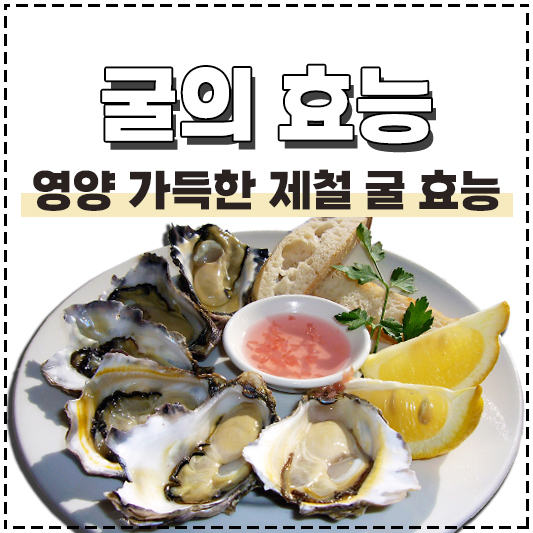 굴 효능
