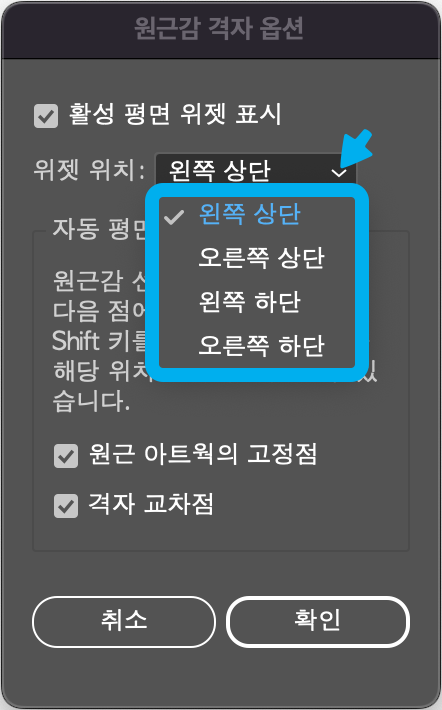 원근감 격자 옵션