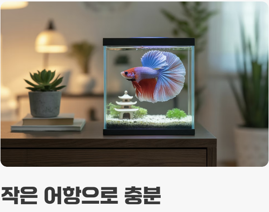 '나만의 왕국', 작은 공간의 미학