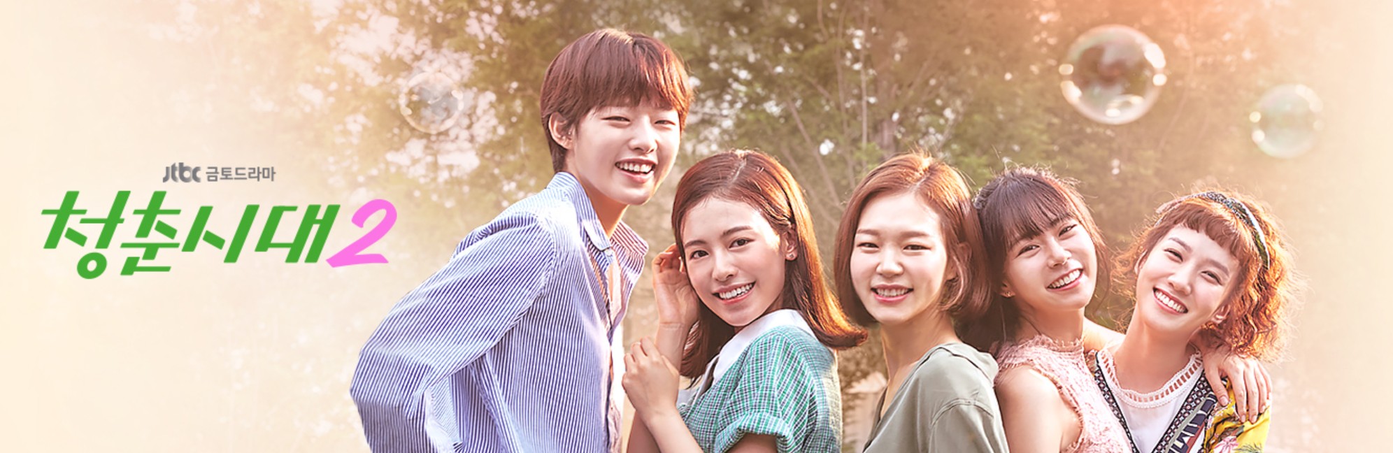 겨울에 정주행 청춘시대 포스터