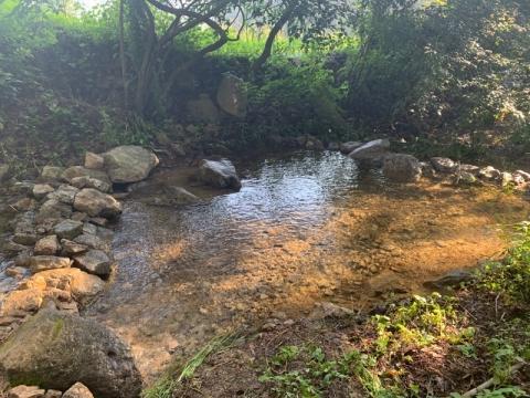 경기-양평-분지울작은캠프장-사진-입니다.