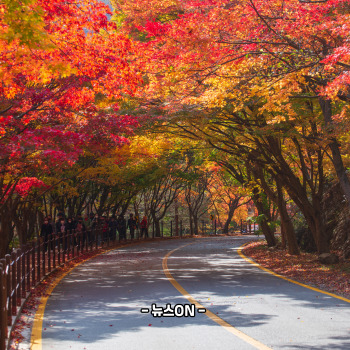 11월 가볼만한 산