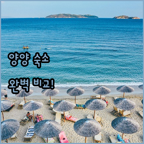 양양 쏠비치부터 감성 숙소까지 인기 ..