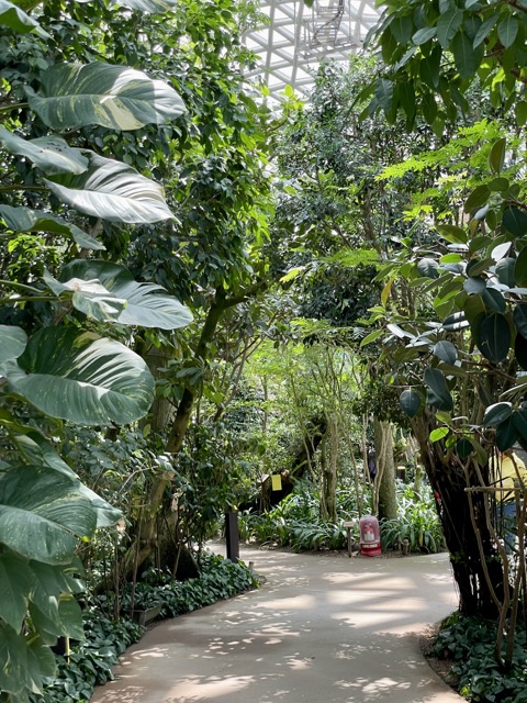 곳곳에-산책로가-잘-꾸며진-거제식물원