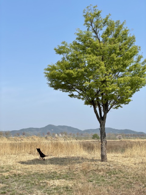머리받침까지-있는-캠핑의자와-엉덩이만-앉을수있는-캠핑의자-두개를-활용해서-두다리-뻗고-쉴수-있습니다.
