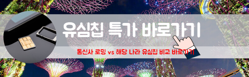 싱가포르 유심 구매 싱가포르 공항 유심 싱가포르 여행 유심 싱가포르 여행 환전 싱가포르 공항 환전 싱가포르 유심칩 싱텔 싱가포르 유심칩 인천공항 싱가포르 유심칩 창이공항 싱가포르 유심칩 가격 싱가포르 유심칩 추천