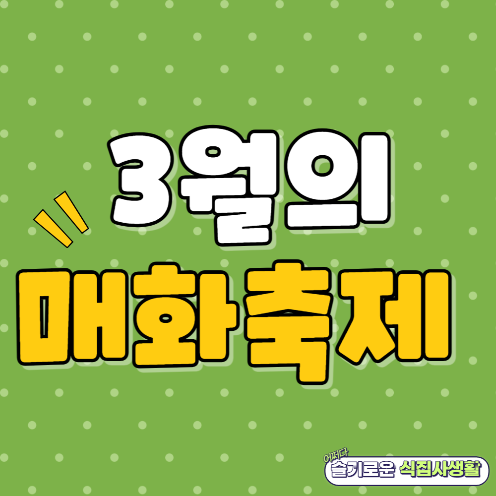 매화축제