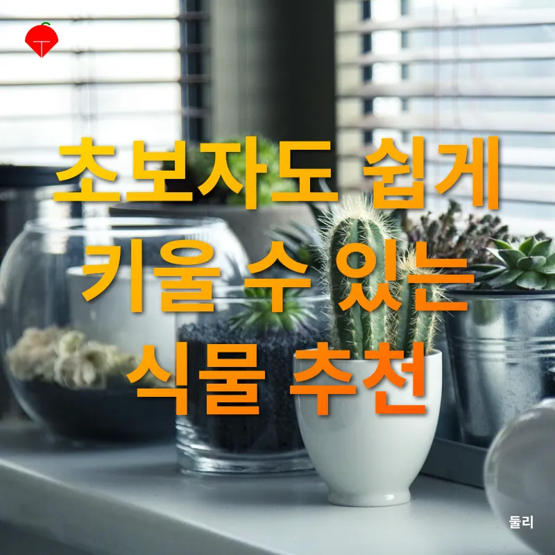 실내 정원 조성_1