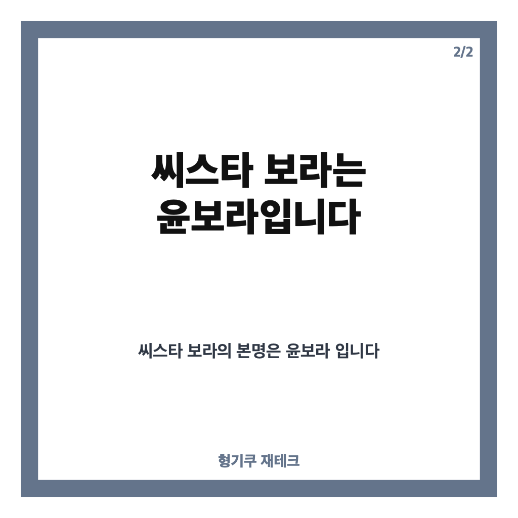 가수 보라 누구? 씨스타 윤보라부터 노래하는 모델 보라까지 정리 카드뉴스 2