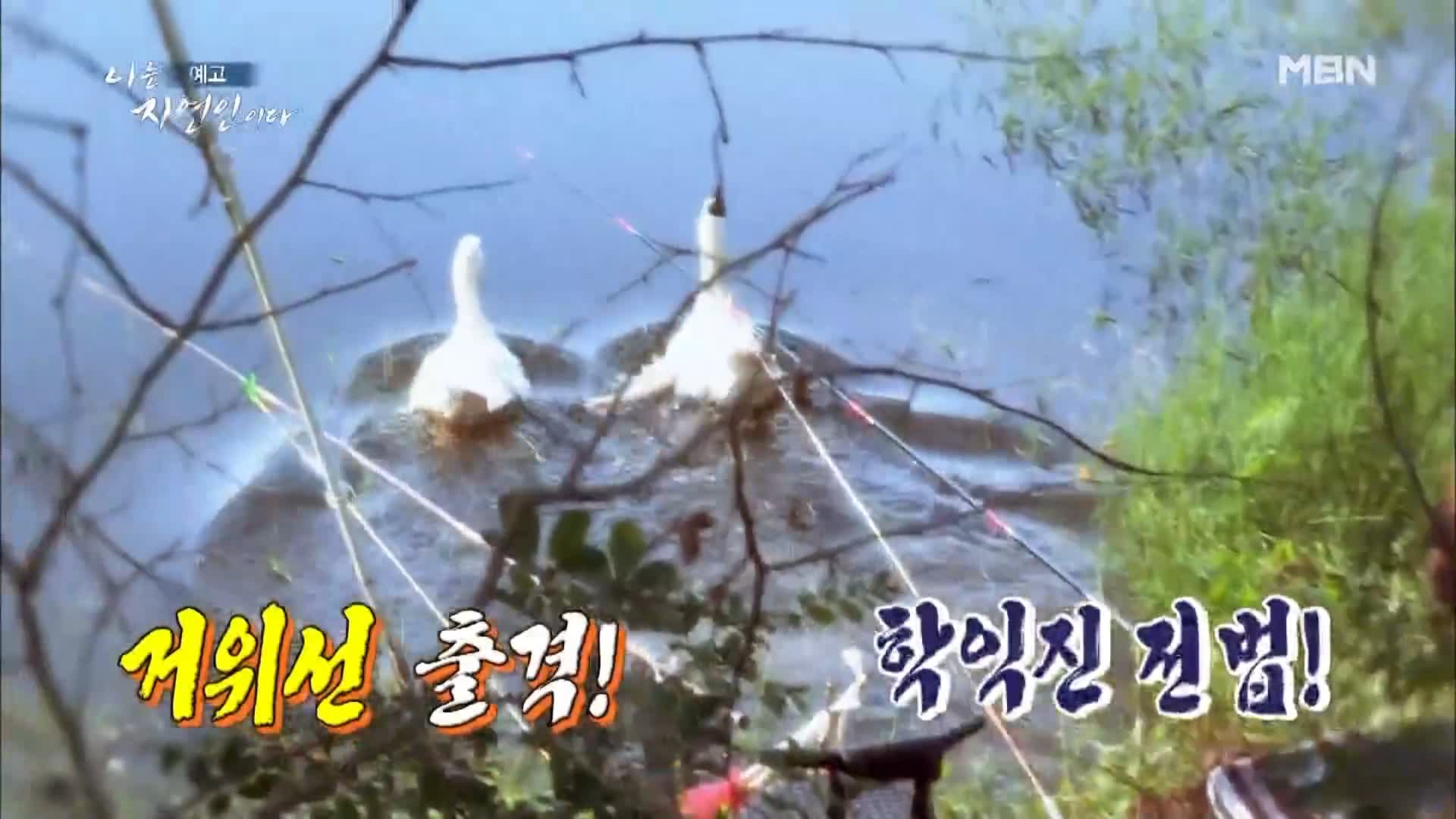 이승윤 윤택 나는 자연인이다 515회 울화로 가득찼던 지난날의 자신과 화해하며 사는 산골 자연인 박세귀 소개 및 출연 다시보기