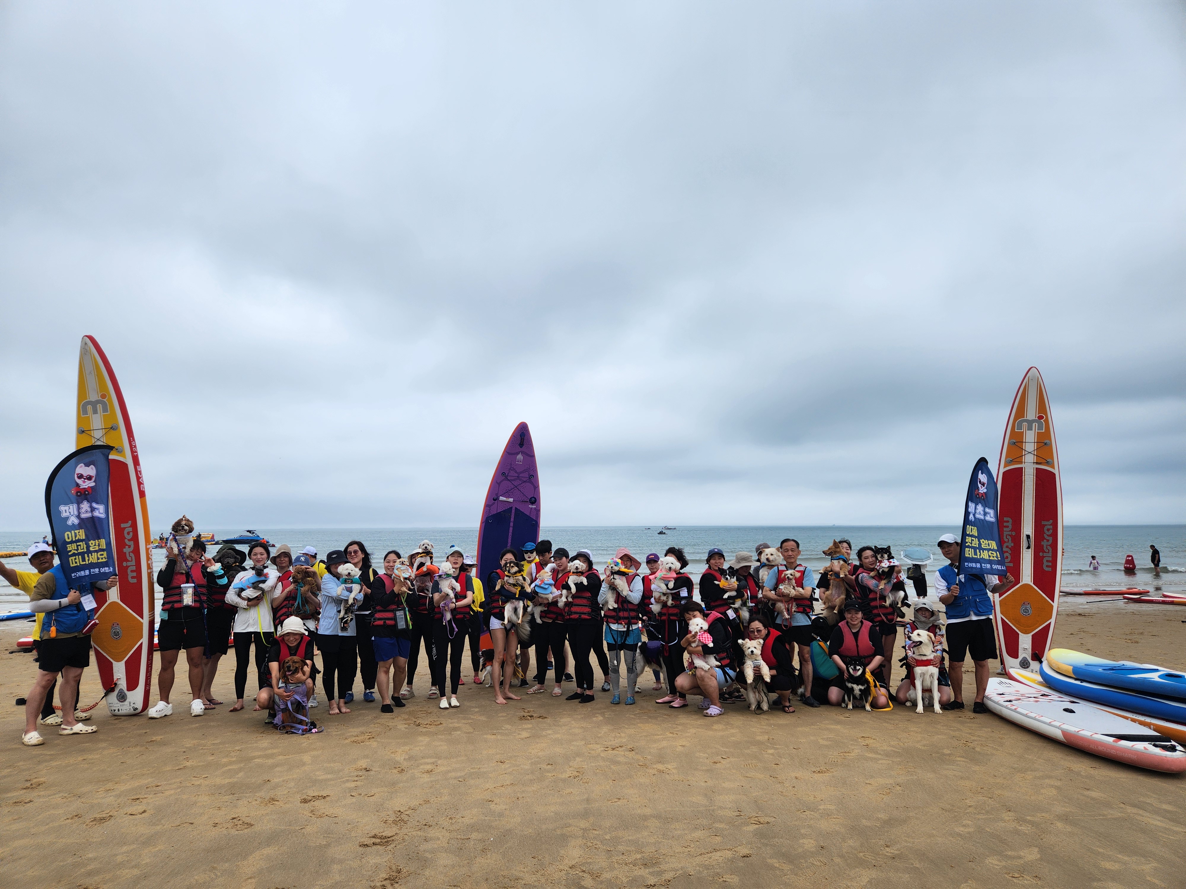 태안 패들보드 체험중