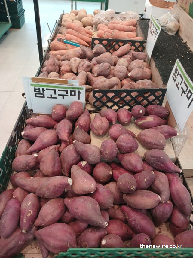마트 진열대에 쌓여 있는 라면 중독해결을 위한 밤고구마