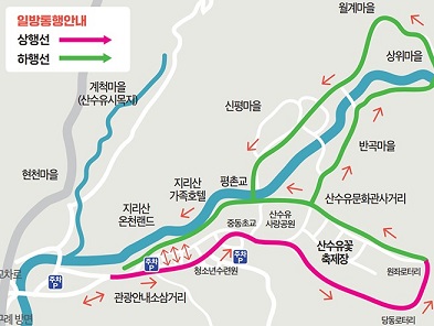 구례 산수유 축제