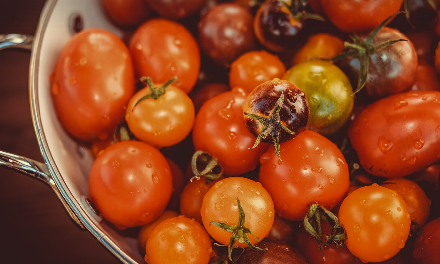 토마토요리에 관련된 사진