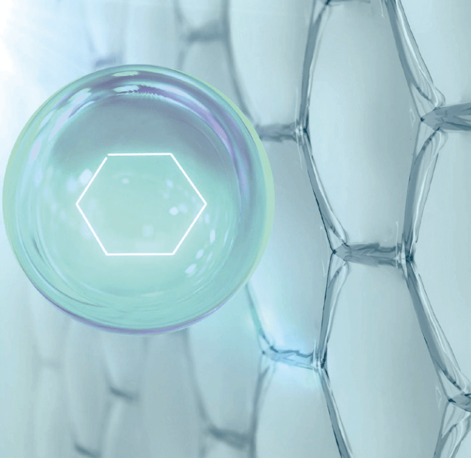 고사리-피부-건강-개선