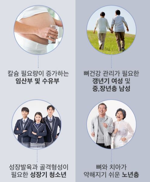 포뉴 칼슘 마그네슘 비타민D