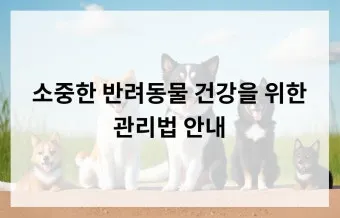 반려동물관리사 자격 교육커리큘럼 실습장비 취업처_6