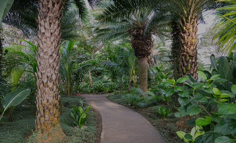 부천식물원 수피아