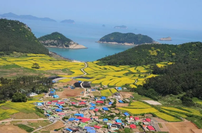 관매도 전경