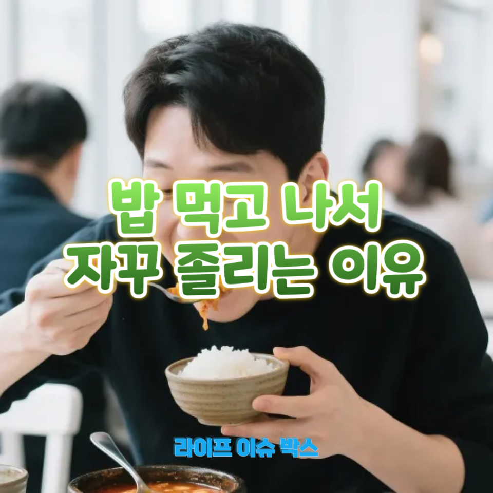 밥 먹고 나서 자꾸 졸리는 이유