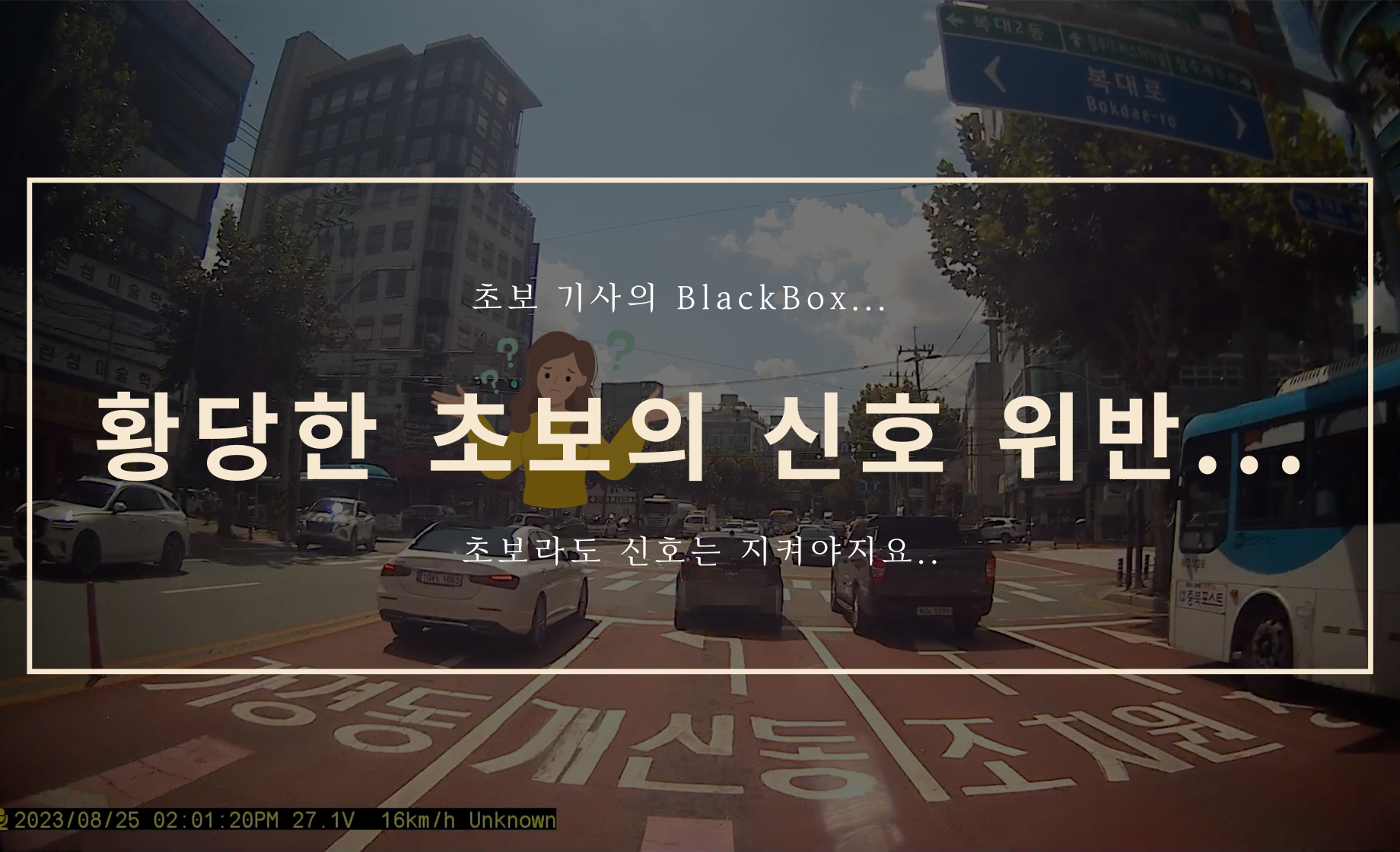 초보의 황당한 신호 위반