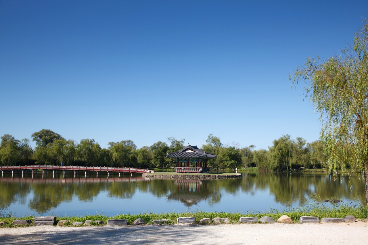 경상도 우포늪 의 아름다운 풍경