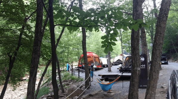 3. 국립 황정산 자연휴양림