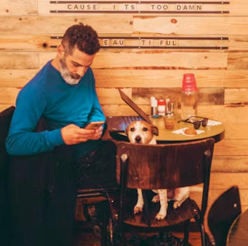 실내 동물카페 창업에 대하여 알아보기