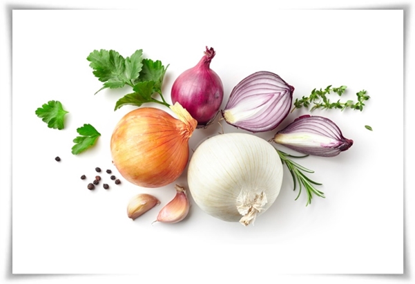 "10월에 심기 좋은 작물 추천" 10월, 새로운 계절을 준비하는 시간...