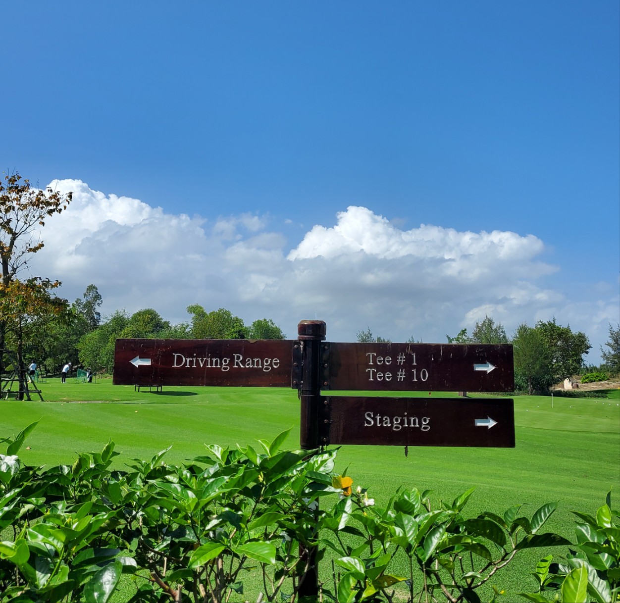 항공권 예약 사이트