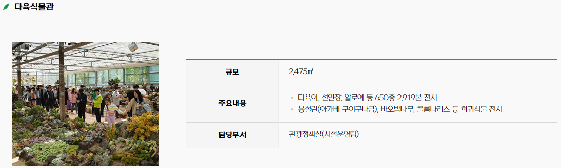 함평 나비 축제26