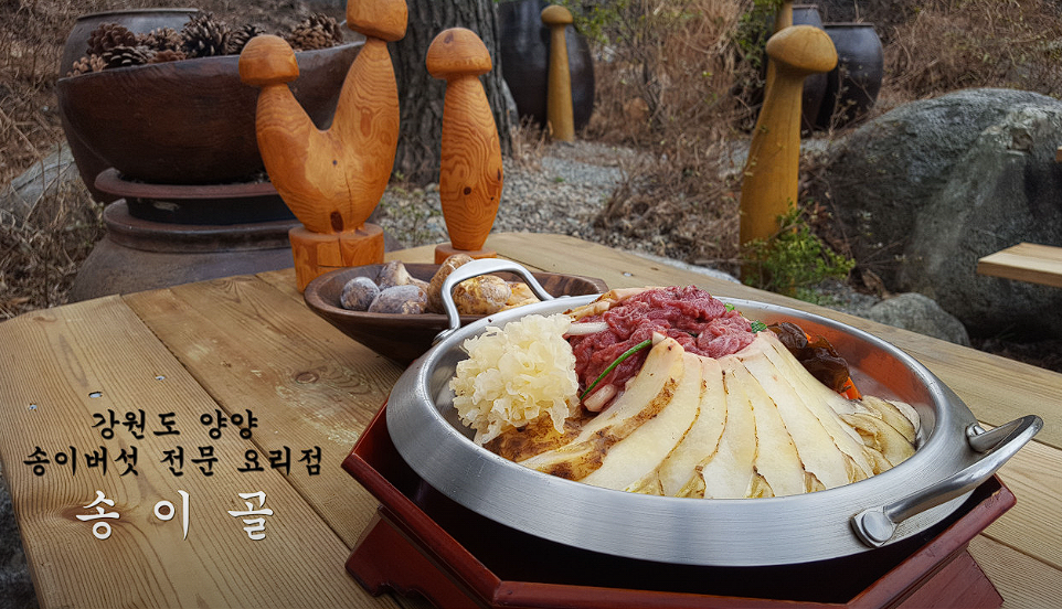 양양 가볼만한 곳