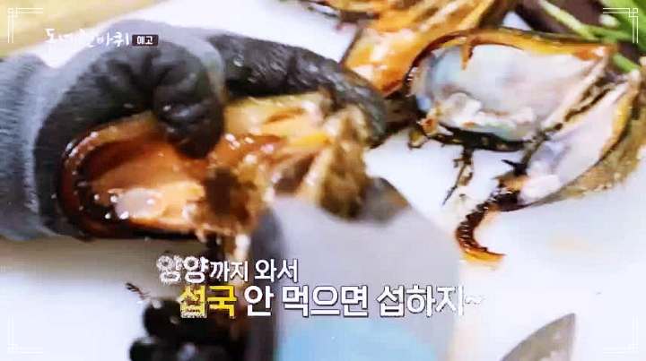 이만기 동네한바퀴 홍합 섭국 순두부 두부 구이 해장국 양양 소노호텔 솔비치 맛집 소개