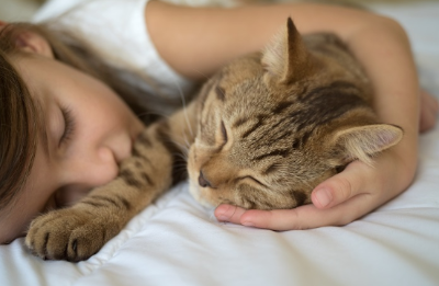 여자아이와 기분 좋게 자는 고양이