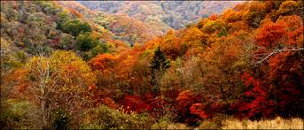오대산 단풍 드라이브 코스