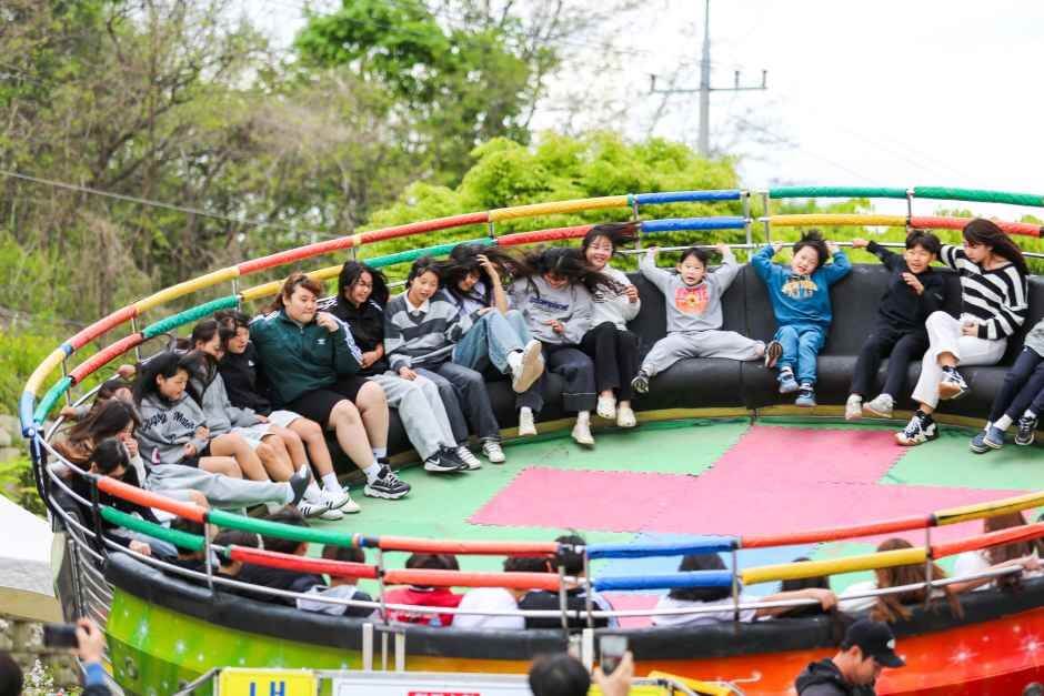 청춘양구 곰취축제