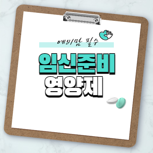 임신준비 영양제 추천