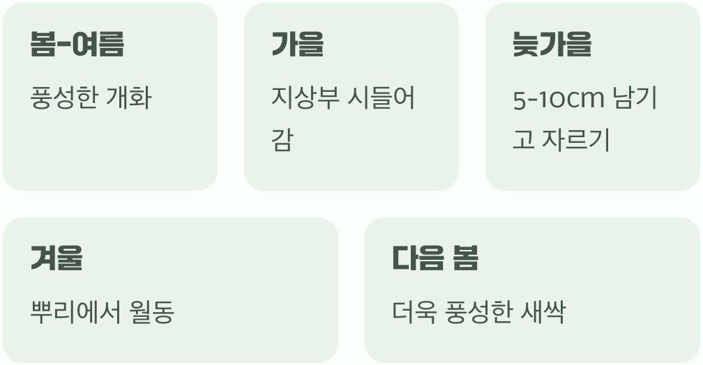 한번 심으면 매년 만나는 친구